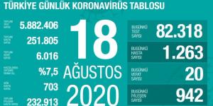 CORONAVİRÜS TABLOSUNDA BUGÜN (18 AĞUSTOS 2020)