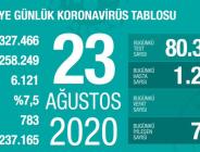 CORONAVİRÜS TABLOSUNDA BUGÜN (23 AĞUSTOS 2020)