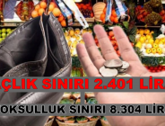 AÇLIK SINIRI 2.401 lLİRA, YOKSULLUK SINIRI 8.304 LİRA