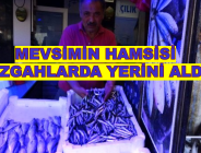 MEVSİMİN HAMSİSİ TEZGAHLARDA YERİNİ ALDI