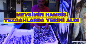 MEVSİMİN HAMSİSİ TEZGAHLARDA YERİNİ ALDI