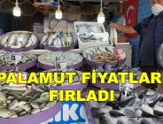 PALAMUT FİYATLARI FIRLADI