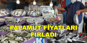 PALAMUT FİYATLARI FIRLADI