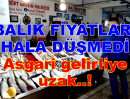 BALIK FİYATLARI ASGARİ GELİRLİYE UZAK!