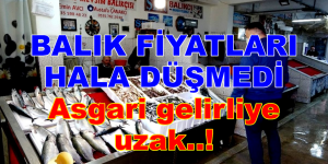 BALIK FİYATLARI ASGARİ GELİRLİYE UZAK!