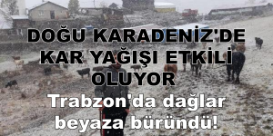 DOĞU KARADENİZ’DE KAR YAĞIŞI ETKİLİ OLUYOR Trabzon’da dağlar beyaza büründü!