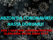 SON 1 HAFTADA CORONAVİRÜSTEN ÖLENLERİN SAYISI ŞOKE ETTİ!