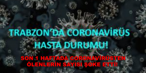 SON 1 HAFTADA CORONAVİRÜSTEN ÖLENLERİN SAYISI ŞOKE ETTİ!