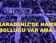 KARADENİZ’DE HAMSİ BOLLUĞU VAR AMA…