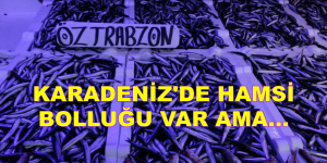 KARADENİZ’DE HAMSİ BOLLUĞU VAR AMA…