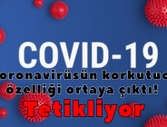 Coronavirüsün korkutucu özelliği ortaya çıktı! Tetikliyor