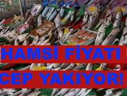 HAMSİ FİYATI CEP YAKIYOR