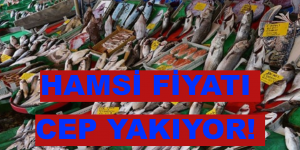 HAMSİ FİYATI CEP YAKIYOR