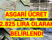 ASGARİ ÜCRET 2.825 LİRA OLARAK BELİRLENDİ