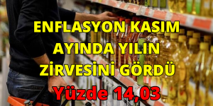 ENFLASYON KASIM AYINDA YILIN ZİRVESİNİ GÖRDÜ: Yüzde 14,03