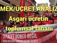 EMEK/ÜCRET ANALİZİ: Asgari ücretin toplumsal tabanı