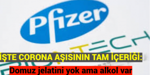 İŞTE CORONA AŞISININ TAM İÇERİĞİ: DOMUZ JELATİNİ YOK AMA ALKOL VAR