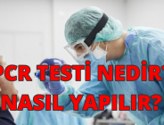 PCR TESTİ NEDİR? NASIL YAPILIR?