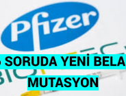 6 SORUDA YENİ BELA: MUTASYON