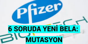 6 SORUDA YENİ BELA: MUTASYON