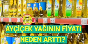 AYÇİÇEK YAĞININ FİYATI NEDEN ARTTI?