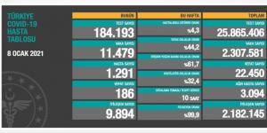 CORONAVİRÜS TABLOSUNDA BUGÜN (08 OCAK 2021)