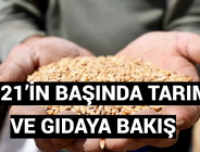 2021’İN BAŞINDA TARIM VE GIDAYA BAKIŞ