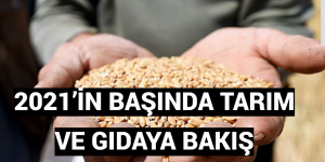 2021’İN BAŞINDA TARIM VE GIDAYA BAKIŞ