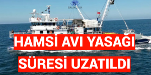 HAMSİ AVI YASAĞI SÜRESİ UZATILDI