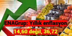 ENAGrup: Yıllık enflasyon 14,60 değil, 36,72