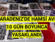 KARADENİZ’DE HAMSİ AVI 10 GÜN BOYUNCA YASAKLANDI