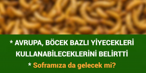 AVRUPA, BÖCEK BAZLI YİYECEKLERİ KULLANABİLECEKLERİNİ BELİRTTİ: Soframıza da gelecek mi?