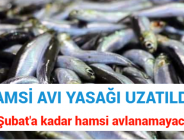 HAMSİ AVI YASAĞI UZATILDI! 7 Şubat’a kadar hamsi avlanamayacak