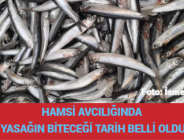 HAMSİ AVCILIĞINDA YASAĞIN BİTECEĞİ TARİH BELLİ OLDU