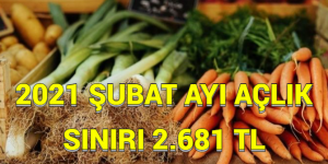 2021 ŞUBAT AYI AÇLIK SINIRI 2.681 TL