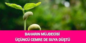 BAHARIN MÜJDECİSİ ÜÇÜNCÜ CEMRE DE SUYA DÜŞTÜ