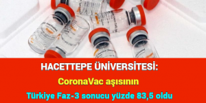 HACETTEPE ÜNİVERSİTESİ: CoronaVac aşısının Türkiye Faz-3 sonucu yüzde 83,5 oldu