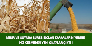 MISIR VE SOYA’DA SÜRESİ DOLAN KARARLARIN YERİNE HIZ KESMEDEN YENİ ONAYLAR ÇIKTI