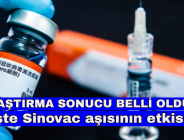 ARAŞTIRMA SONUCU BELLİ OLDU! İşte Sinovac aşısının etkisi