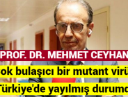 PROF. DR. MEHMET CEYHAN: Çok bulaşıcı bir mutant virüs, Türkiye’de yayılmış durumda