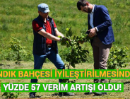 FINDIK BAHÇESİ İYİLEŞTİRİLMESİNDE YÜZDE 57 VERİM ARTIŞI OLDU!