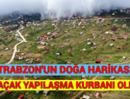 TRABZON’UN DOĞA HARİKASI KAÇAK YAPILAŞMA KURBANI OLDU