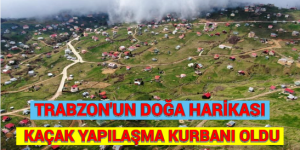 TRABZON’UN DOĞA HARİKASI KAÇAK YAPILAŞMA KURBANI OLDU