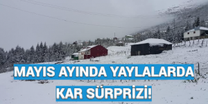 MAYIS AYINDA YAYLALARDA KAR SÜRPRİZİ!