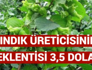 FINDIK ÜRETİCİSİNİN BEKLENTİSİ 3,5 DOLAR