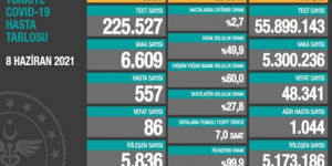 CORONAVİRÜS TABLOSUNDA BUGÜN (08 HAZİRAN 2021)