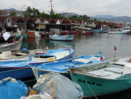 TRABZON’DA TARİHİN EN YÜKSEK BALIK FİYATI!