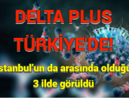 DELTA PLUS TÜRKİYE’DE: İstanbul’un da arasında olduğu 3 ilde görüldü