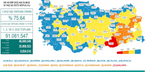 CORONAVİRÜS TABLOSUNDA BUGÜN (25 AĞUSTOS 2021)