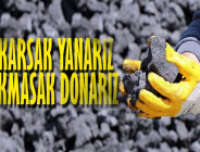 BU KIŞ ZOR GEÇECEK: Yakarsak yanarız, yakmazsak donarız